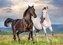 Bluebird Puzzle Couple de Chevaux* Chevaux|De 500 À 999 Pièces