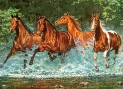 Castorland Course de la Cascade* Chevaux|Dès 9 Ans : 251 À 399 Pièces