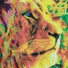 Crystal Art - Kit Broderie Diamant - Lion* Broderie Diamant|Animaux Sauvages