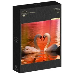 Grafika Cygnes*Femme Oiseaux|Amour Et Tendresse