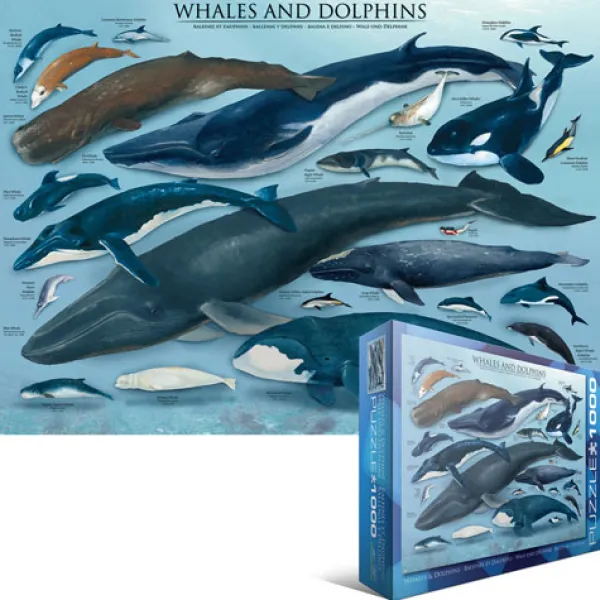 Eurographics Dauphins et Baleines* Dauphins|Animaux Marins