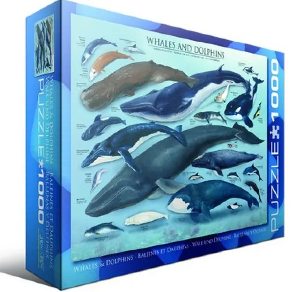 Eurographics Dauphins et Baleines* Dauphins|Animaux Marins