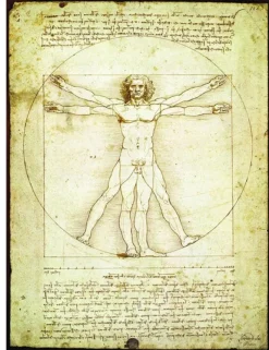 Eurographics De Vinci Léonard - Leonard de Vinci : L'homme de Vitruve* Art|De 1 000 Pièces