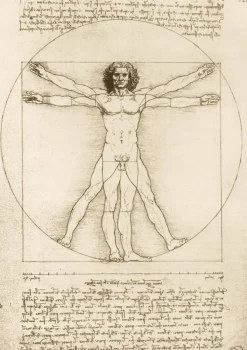 Bluebird Puzzle De Vinci Léonard - Leonard De Vinci - The Vitruvian Man, 1490* Art|De 1 000 Pièces