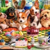 Castorland Dessert Pour Chiots* Chiens|Déco Et Objets
