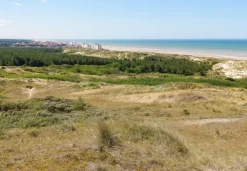 Bluebird Puzzle Dunes d'Hardelot, Côte d'Opale, France* Plages Et Îles De Rêve|De 1 000 Pièces