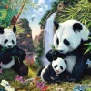 Schmidt Spiele Famille de Pandas* Animaux De La Forêt|De 500 À 999 Pièces