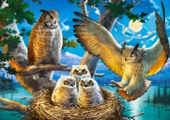 Castorland Famille d'Hiboux* Oiseaux|De 500 À 999 Pièces