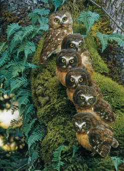 Cobble Hill Family Tree* Oiseaux|De 1 000 Pièces