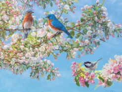 Cobble Hill Festival des Fleurs* Oiseaux|Forêts, Fleurs Et Jardins