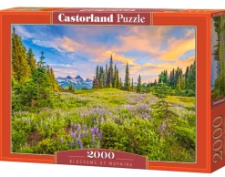 Castorland Fleurs du Matin*Femme De 2 000 Pièces|De 2 000 Pièces