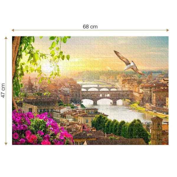 Roovi Florence, Italie* Villes Et Villages|France