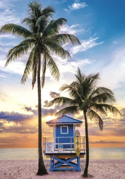 Clementoni Floride, Miami Beach* Plages Et Îles De Rêve|États-Unis Et Canada