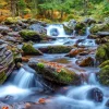 Enjoy Puzzle Forest Stream in Autumn* Cascades|Forêts, Fleurs Et Jardins