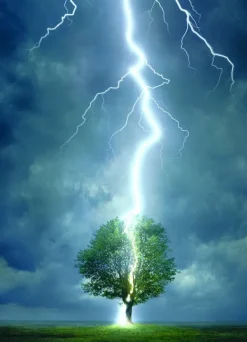 Eurographics Foudre frappant un arbre* De 1 000 Pièces|De 1 000 Pièces
