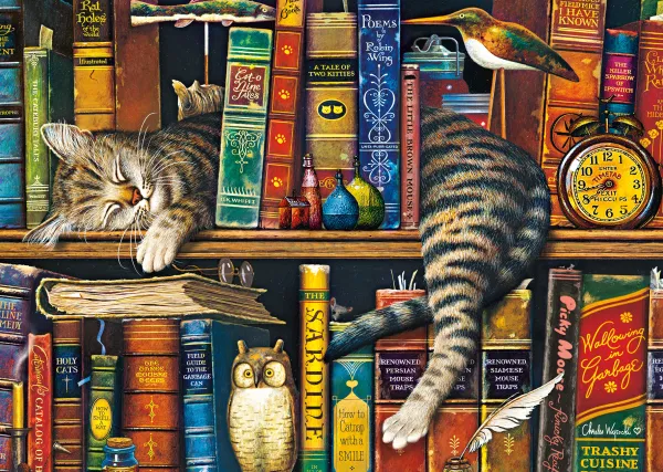 Schmidt Spiele Frédéric le Lettré* Chats|Déco Et Objets