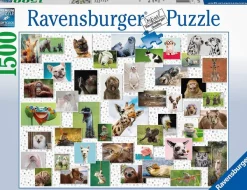 Ravensburger Funny Animals Collage*Femme De 1 500 Pièces|De 1 500 Pièces