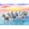 Trefl Galloping White Horses* Chevaux|De 500 À 999 Pièces