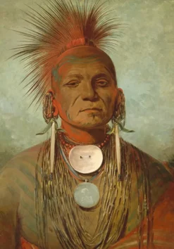 Grafika Kids George Catlin : See-non-ty-a, Homme Medecine de l'Iowa Medicine Man, 1844-1845*Enfant Art|Dès 6 Ans : 50 À 100 Pièces