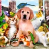 Bluebird Puzzle Good Companions* Chiens|Chats