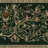 Ravensburger Harry Potter - Arbre Généalogique*Femme De 2 000 Pièces|De 2 000 Pièces
