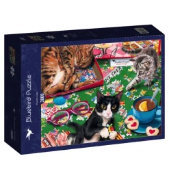 Bluebird Puzzle Joelle McIntyre - Cats* De 3 000 Pièces|De 3 000 Pièces
