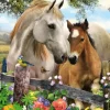 Schmidt Spiele Jument et Poulain*Femme À Partir De 9 Ans|Chevaux