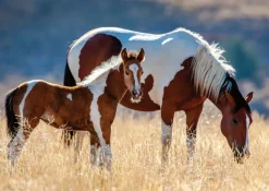 Nathan Jument et Son Poulain* De 1 500 Pièces|De 1 500 Pièces