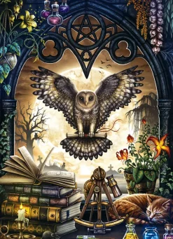 Cobble Hill La Convocation*Femme Oiseaux|Gothiques Et Sorcières