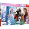 Trefl La Reine des Neiges*Enfant Puzzles Pour Enfants|Dès 9 Ans : 251 À 399 Pièces