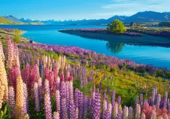 Castorland Lac Tekapo, Nouvelle-Zélande* Montagnes|Mers Et Océans