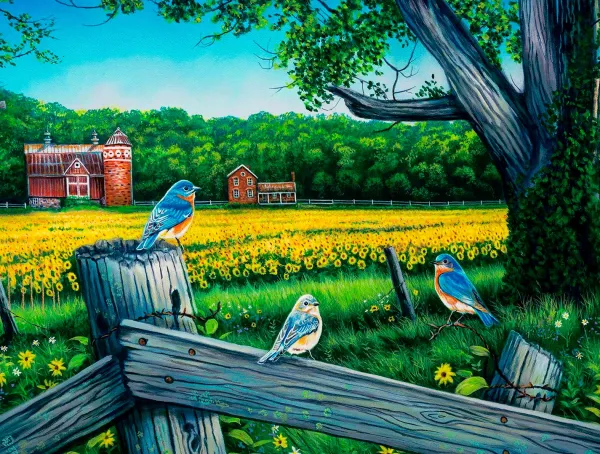 SunsOut Le Blues De La Vallée Du Tournesol*Enfant Oiseaux|Animaux De La Forêt