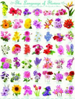 Eurographics Le language des Fleurs*Enfant Puzzles Pour Enfants|Forêts, Fleurs Et Jardins