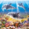 Castorland Le Monde des Dauphins* Dauphins|Animaux Marins