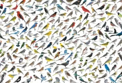 Eurographics Le Monde des Oiseaux, par David Sibley* De 2 000 Pièces|De 2 000 Pièces