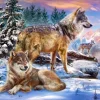 Castorland Le Pays Merveilleux des Loups* Loups|De 500 À 999 Pièces