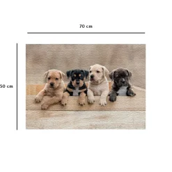 Nathan Les American Staffordshire Terriers*Enfant Chiens|Dès 6 Ans : 50 À 100 Pièces