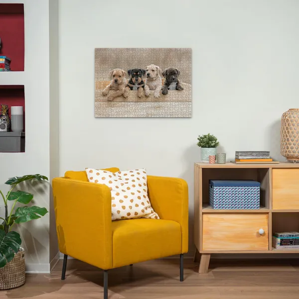 Nathan Les American Staffordshire Terriers*Enfant Chiens|Dès 6 Ans : 50 À 100 Pièces