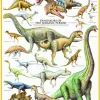 Eurographics Les Dinosaures - Période du Jurassique* Dinosaures|De 1 000 Pièces