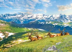 Eurographics Les Élans à la Montagne* Animaux Sauvages|Montagnes