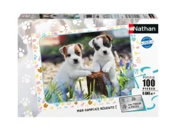 Nathan Les Petits Jack Russell*Enfant Chiens|Forêts, Fleurs Et Jardins