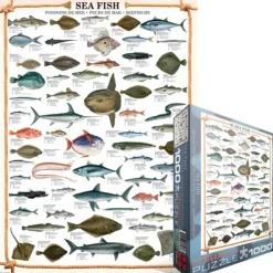 Eurographics Les poissons*Enfant Puzzles Pour Enfants|Animaux Marins