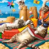 Castorland Les Vibrations de l'Été* Chats|Déco Et Objets