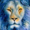 Enjoy Puzzle Lion Etoilé* Animaux Sauvages|Art