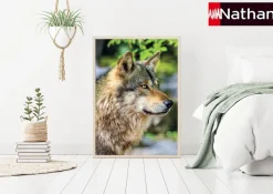 Nathan Loup Gris Européen* Loups|De 1 000 Pièces