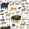 Master Pieces Mammals of Yellowstone National Park* Animaux Sauvages|États-Unis Et Canada
