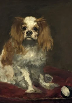 Grafika Manet Édouard - Edouard Manet : Un Cavalier King Charles Spaniel, 1866* Art|De 1 000 Pièces