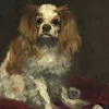 Grafika Manet Édouard - Edouard Manet : Un Cavalier King Charles Spaniel, 1866* De 2 000 Pièces|De 2 000 Pièces