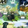 Otter House Puzzle Man's Best Friend* Chiens|De 1 000 Pièces