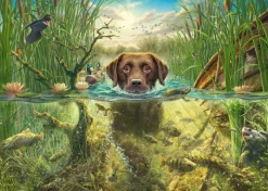 Schmidt Spiele Mark Fredrickson - Labrador Chocolat à la Baignade* Chiens|Forêts, Fleurs Et Jardins